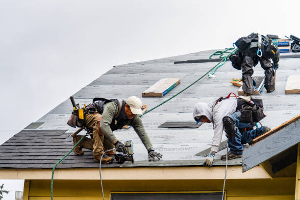 Professional Storm Damage Roof Repair technician working in West Union, OH